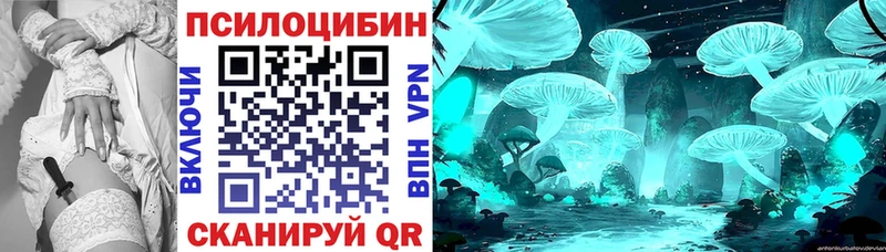 Купить где  Энгельс  Псилоцибиновые грибы Magic Shrooms 